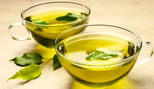 The Flavanol Deficit: Landmark COSMOS Study Ranks Green Tea Ahead of Fruits for Cardioprotective Velocity | JAR Magazine