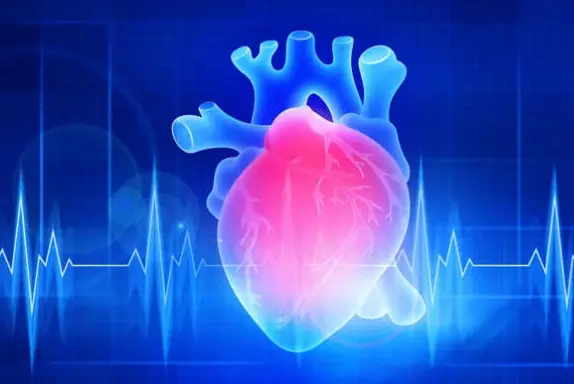 The Lipid Ledger: Natural Strategies for Optimizing and Balancing Cholesterol Levels | JAR Magazine